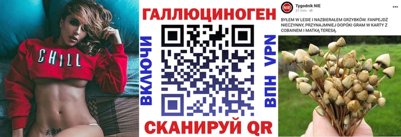 ссылка на мегу ТОР  Лосино-Петровский  Псилоцибиновые грибы GOLDEN TEACHER 